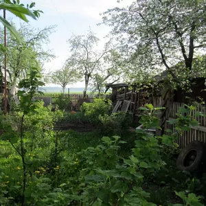 Продается ухоженный дом в деревне,  20км от Бобруйска